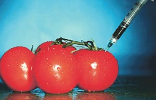 Gıda Bakanlığı'ndan GDO açıklaması