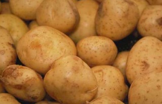 Doğu'lu çiftçinin patates mutluluğu