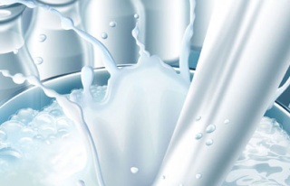 Süt kırık riskini azaltıyor