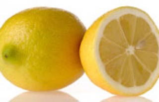 Mersin Türkiye'nin limon üssü oldu