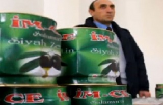 İmralı'dan 60 ton zeytin çıktı!