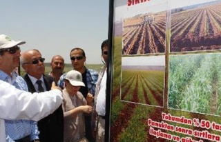 Bakan Eker tarım gelirini açıkladı
