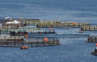 Balık çiftliklerine büyük kolaylık