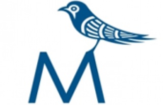 The Marmara logosunu yeniliyor