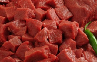 Kırşehir et üretim üssü oluyor