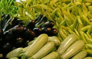 Biber ve patlıcan üreticisine müjde