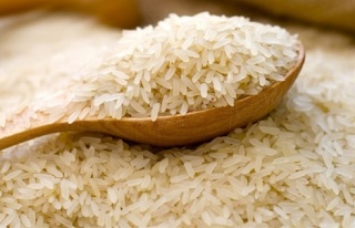 7 yılda 344 GDO'lu pirinç vakası