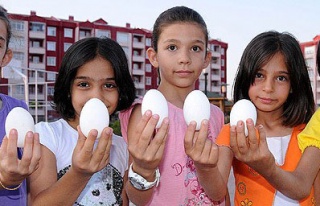 Öğrenciye sütten sonra yumurta katkısı