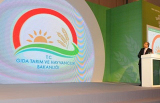 Kırmızı et ve süt konseyleri yönetmelikleri yayımlandı