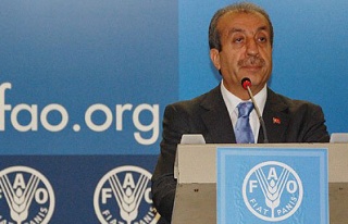 Türkiye BM Gıda ve Tarım Örgütü üyesi seçildi