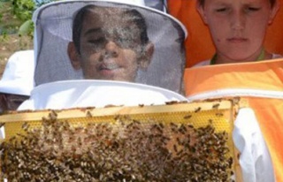 Arı ve Çocuk Projesi Düzcede yaygınlaşıyor