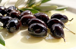 Zeytin üreticisi için imza kampanyası