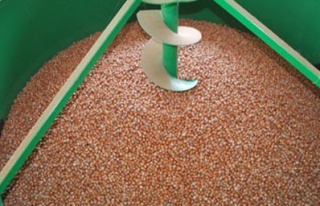 Fındıkta aflatoksine karşı makineli kurutma