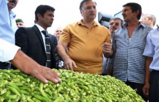 Bamyayı tanıtmak için festival düzenlediler