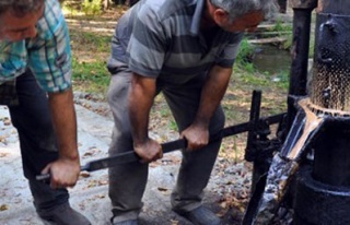 Sığla yağının üretimine başlandı