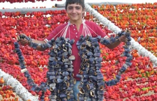 Kurutmalık biber ve patlıcan sezonu başladı