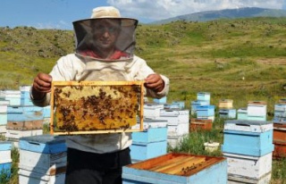 Ağrı Dağı Balı da koruma altına alındı