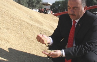 Tarım Kredi 200 bin ton ürün alımı yaptı