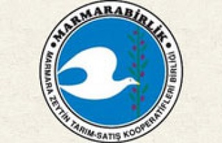 Marmarabirlik zeytin atıklarından enerji üretecek