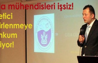 Gıda mühendisleri 