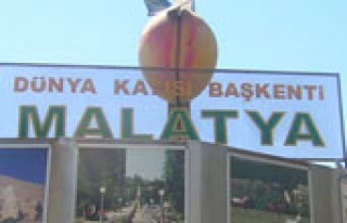 Malatya kayısı festivaline hazır