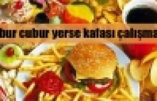 Abur cubur zeka gelişimini engelliyor