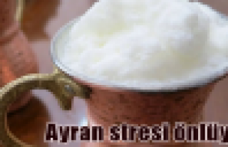 Ayran tüketmek stresi önlüyor!