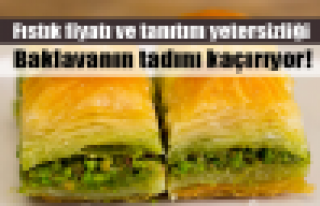 Baklava yeteri kadar tanıtılmıyor