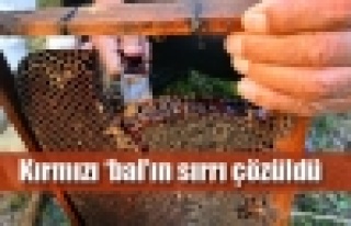 Bu renkte balı ilk defa gördüm