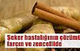 Diyabete çare tarçın ve zencefilde