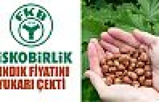 Fındık fiyatı 14 liraya yükseldi