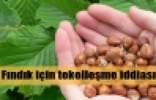 Fındıkta tekelleşme riski iddiası