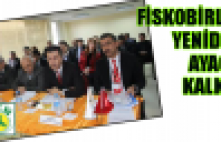 FİSKOBİRLİK'ten fındık politikası çıkışı