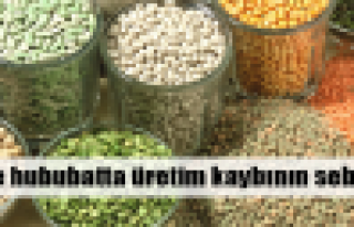 Hububat üretiminde 'ekim' kaybı!