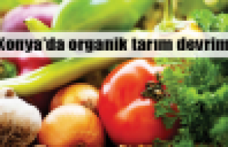 Konya'da organik tarım devrimi