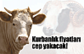 Kurban tartışması erken başladı