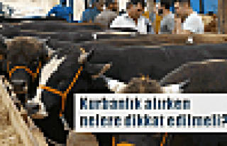 Kurban alırken nelere dikkat etmeliyiz?