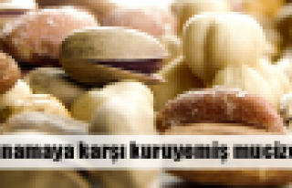 Kuruyemiş bunamayı engelliyor