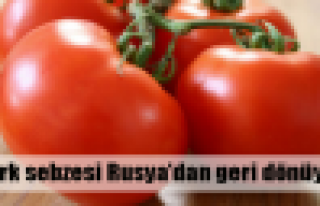 Rusya bunu hep yapıyor!