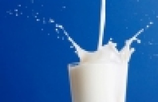 Süt üretiminde artış var