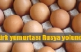 Türk yumurtası Rusya yolunda