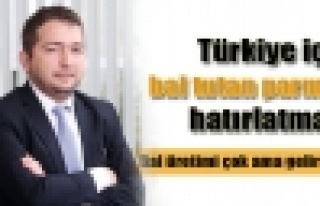 Türkiye'de bal üretimi çok, gelir yok