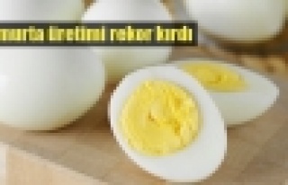 Türkiye'nin yumurta üretiminde rekor