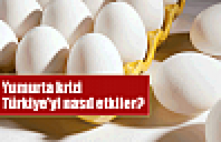 Yumurta krizi Türkiye'yi nasıl etkiler?