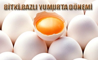 Tavuk yumurtasına alternatif olabilir mi?