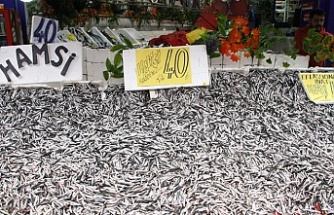 Hamsi 40 liradan tezgaha çıktı