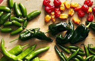 İhracatın şampiyonu biber oldu