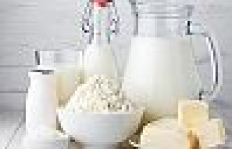 bayat yumurtayi anlama testi