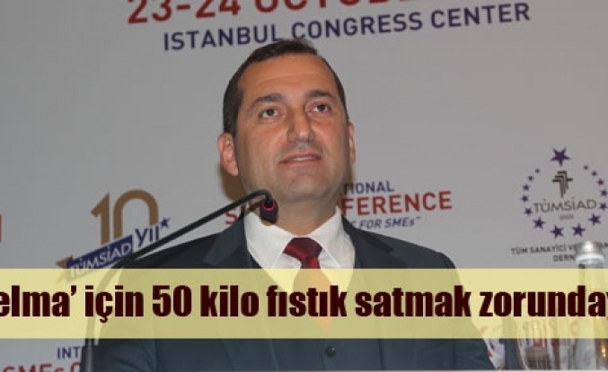 1 elma için 50 kilo fıstık veriyoruz!