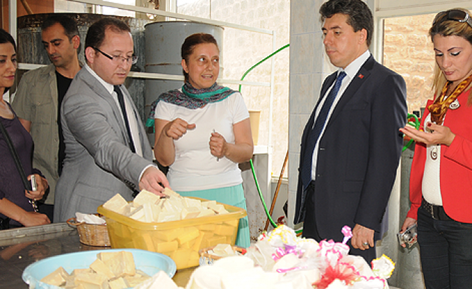 Bıttım, Mardin için altın değerinde